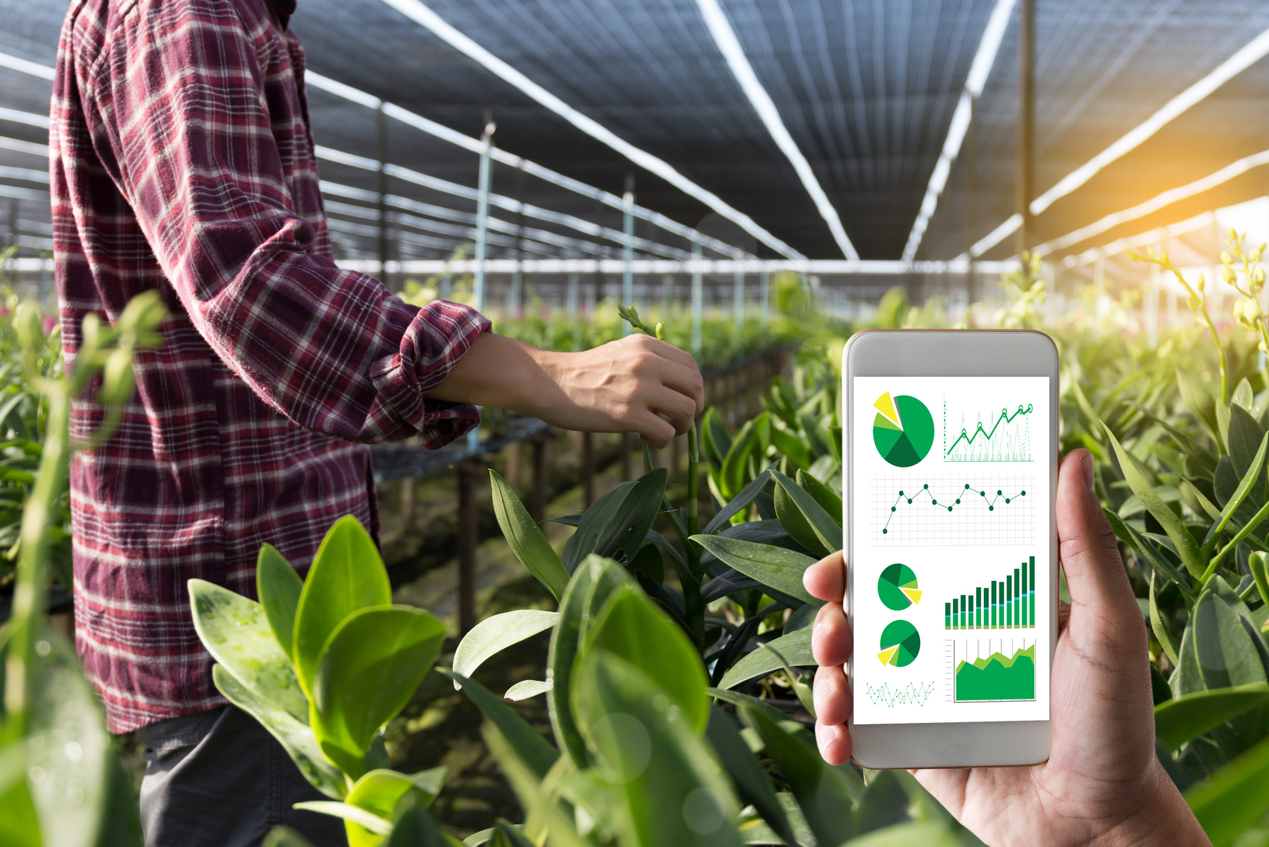 agriculture technology concept man Agronomist Using a Tablet in an Agriculture Field read a report